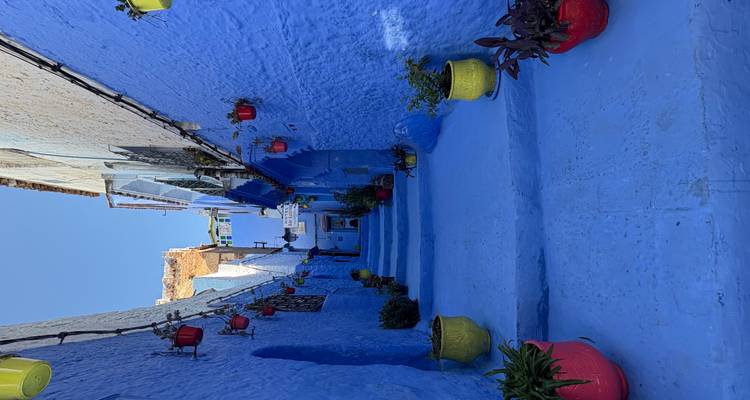 Callejón estrecho con paredes pintadas de azul y plantas en macetas.