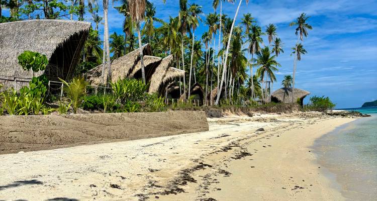 Beach with palm trees and thatched roofs.