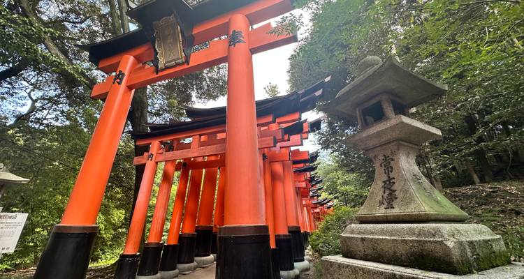 Row of iconic red torii gates leading through a forest.