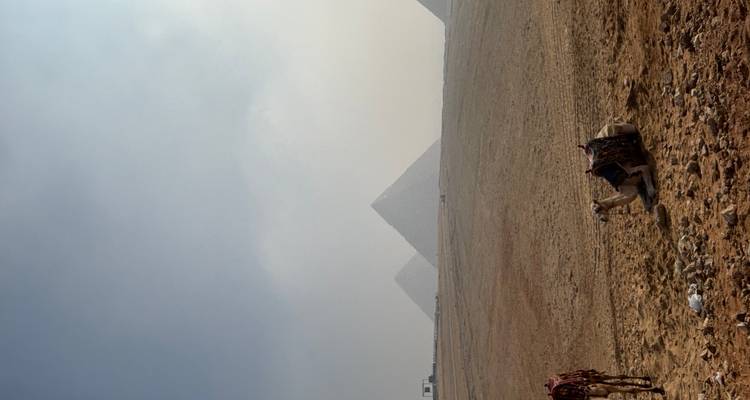 Camels resting in front of the pyramids under a hazy sky.