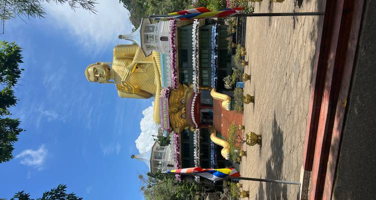 Large golden Buddha statue with temple architecture.