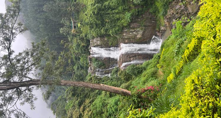 Beautiful waterfall surrounded by lush greenery.