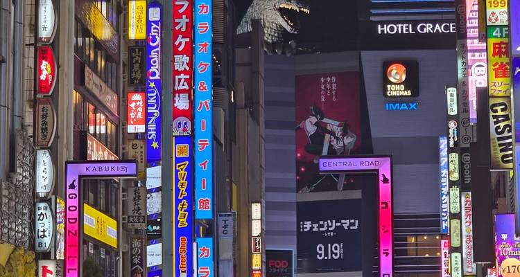 Prise de vue nocturne d'enseignes et de panneaux publicitaires colorés de la ville.