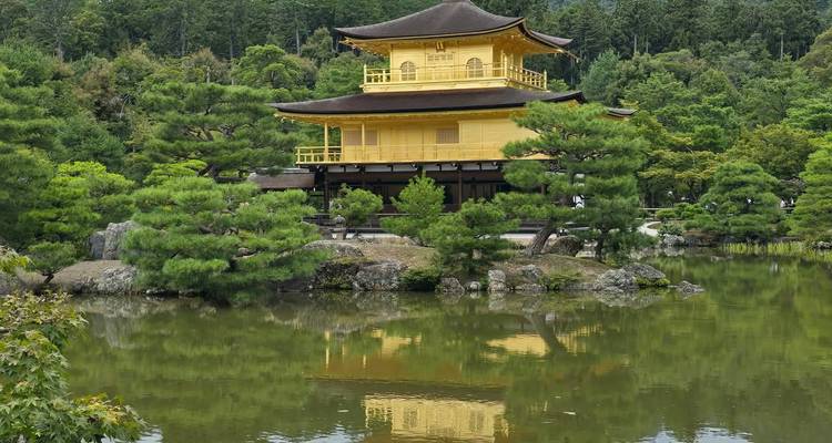 Temple doré se reflétant dans un étang aux alentours luxuriants.