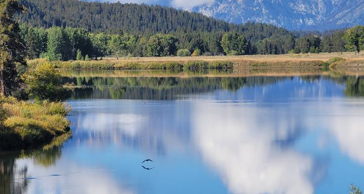 Un lac serein reflétant les arbres et les montagnes lointaines.
