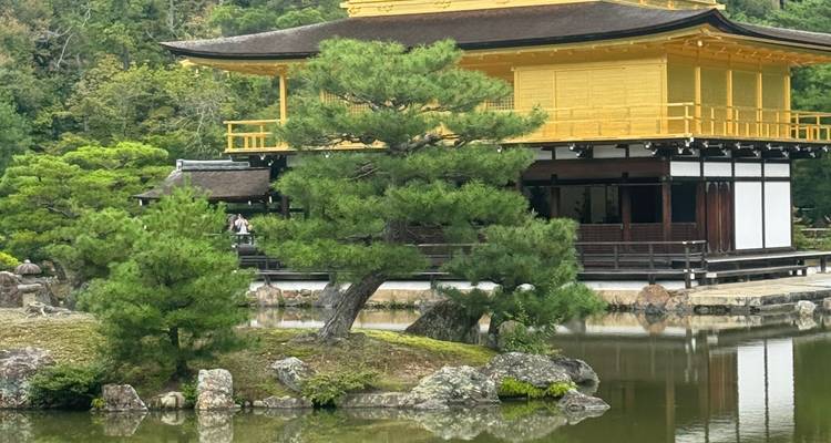 Goldener Pavillon mit einer Spiegelung in einem Teich.