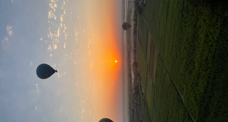 Hot air balloons rising over fields at sunrise.