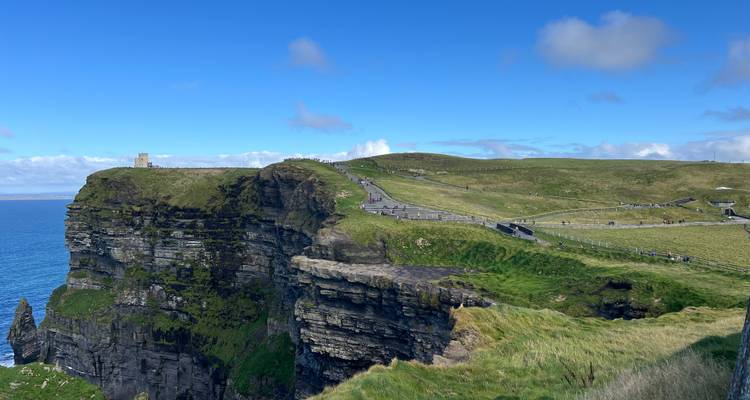 Kustrotsen met weelderig groen.
