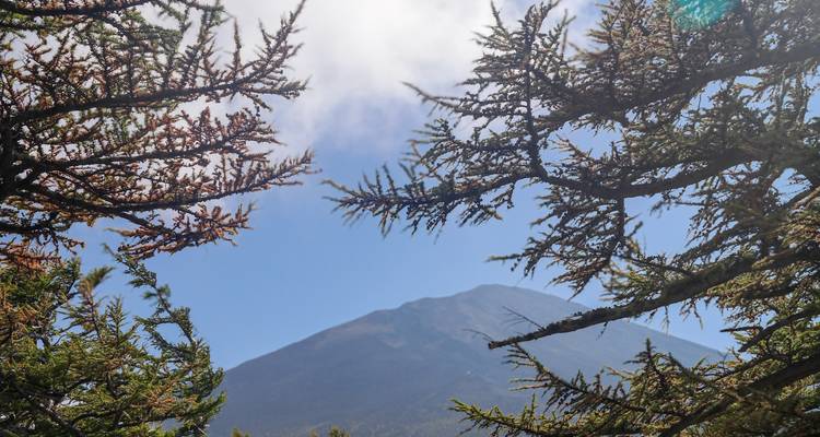 Mount Fuji gedeeltelijk verborgen door bomen