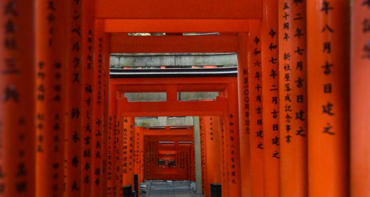 Fushimi Inari Taisha met rode torii-poorten