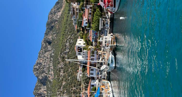 Scenic harbor with boats and village against mountainous backdrop.