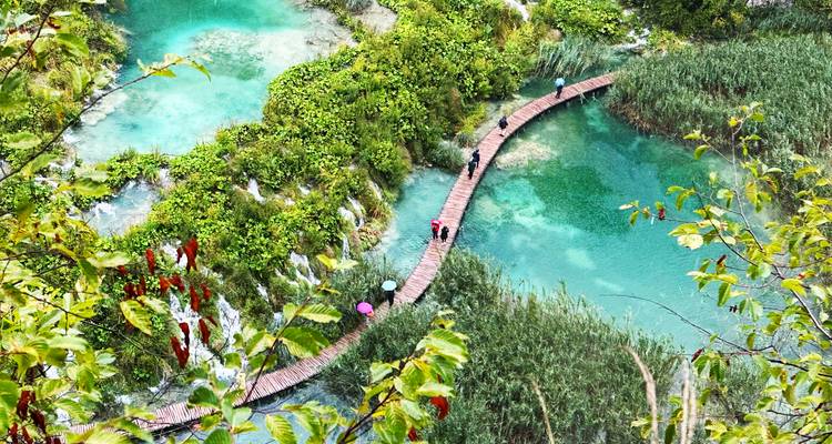 Pathway through the lush greenery and clear waters at Plitvice.