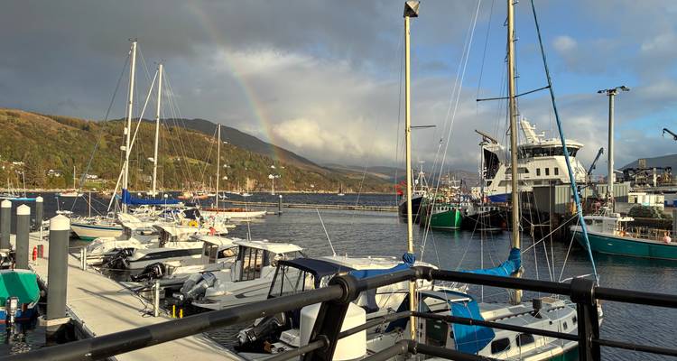 Harbor with boats and a rainbow in the sky.