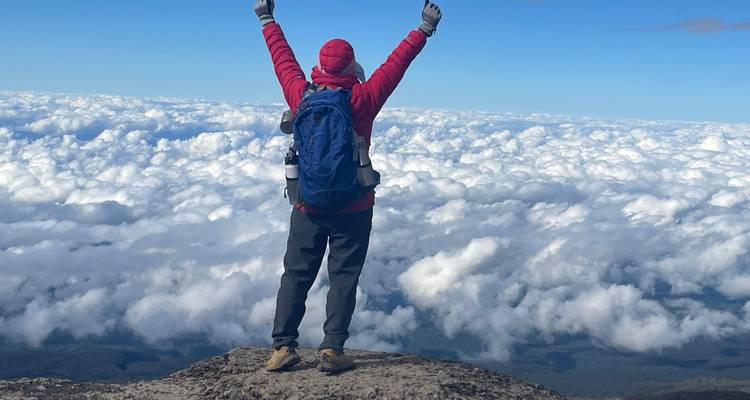 Person in red jacket standing on a mountain with arms raised above clouds.