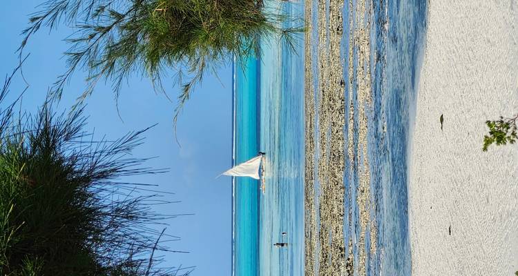 Vue panoramique de plage avec une eau turquoise et un voilier au loin.