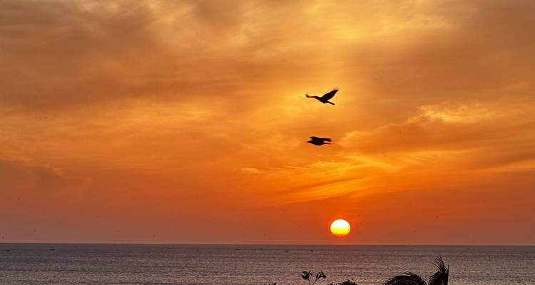 Coucher de soleil sur l'océan avec des oiseaux qui volent.