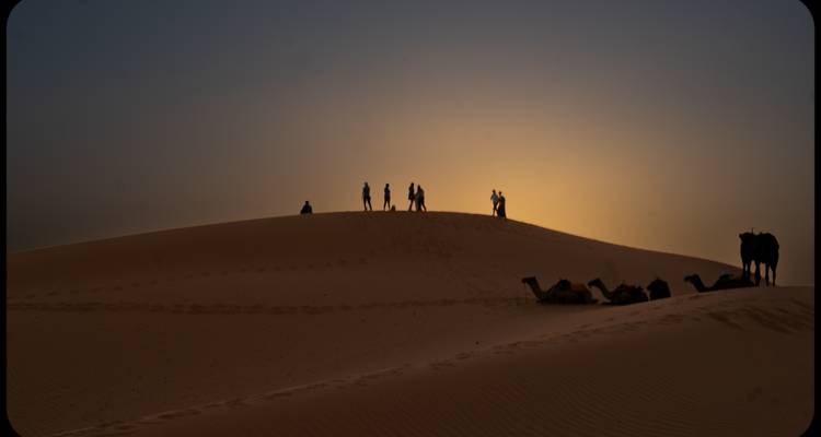 Silhouettes of people and camels on a sand dune at sunset.