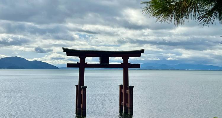 Een torii-poort in een meer met bergen op de achtergrond.