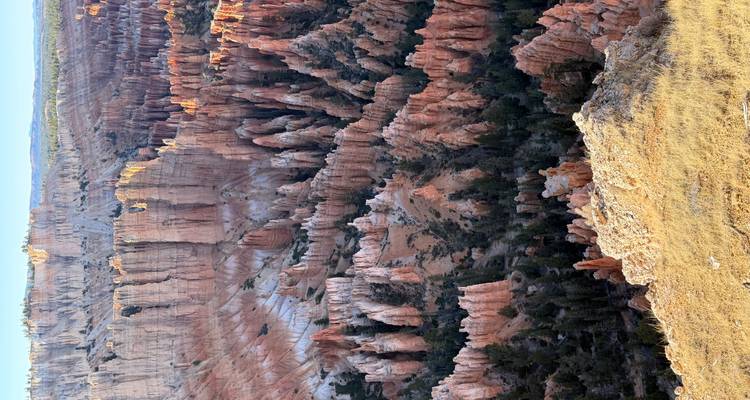 View of Bryce Canyon with its distinctive red rock formations.
