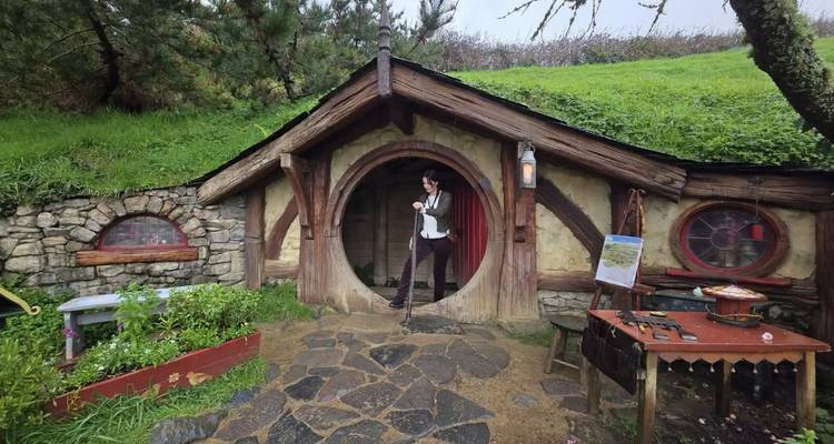 Person standing at the entrance of a hobbit-like house.