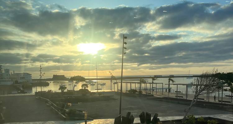 Beautiful sunset over a harbor with palm trees.