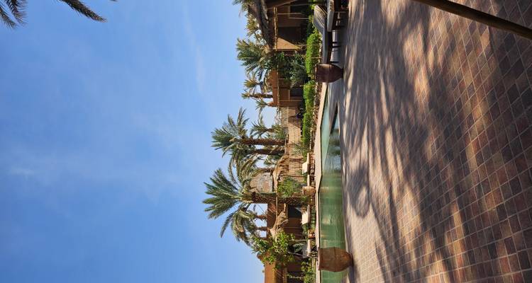 Vue de la piscine avec palmiers et chaises longues.