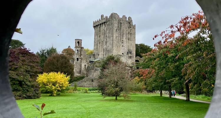 Vue panoramique du château de Blarney encadrée par le feuillage.