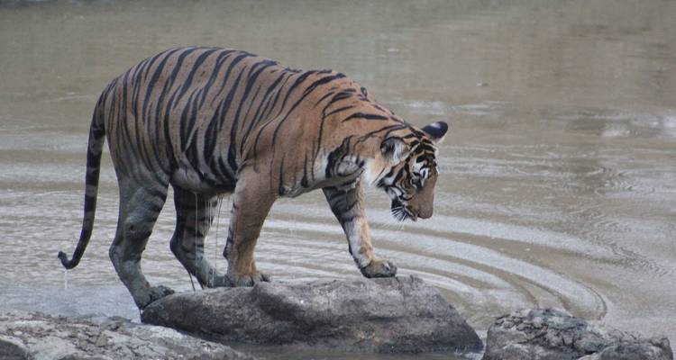 À l'intérieur d'une grotte avec des autels éclairés et des statues sculptées.