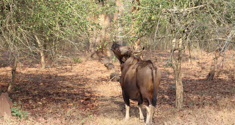 Architecture européenne colorée avec une fontaine centrale.