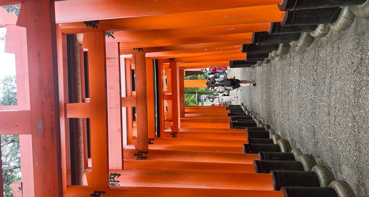 Rangée de torii orange traditionnels avec des visiteurs.