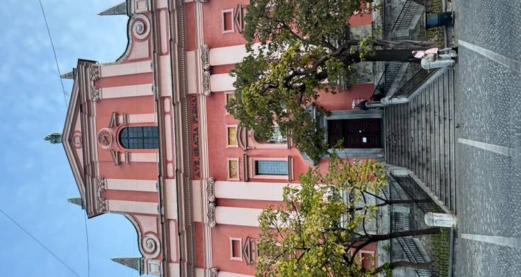Roze gevel van een kerk met bomen en mensen eromheen.
