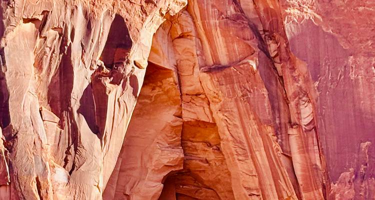 Gedetailleerde rotsformaties van een canyonwand.