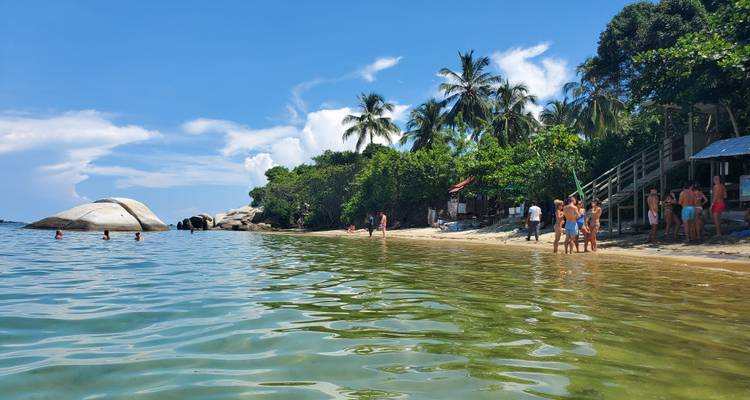 Kust met mensen langs de oever en weelderige palmbomen.