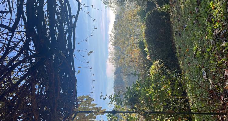 Vista panorámica del jardín enmarcada por pérgola cubierta de enredaderas con luz solar filtrándose a través.