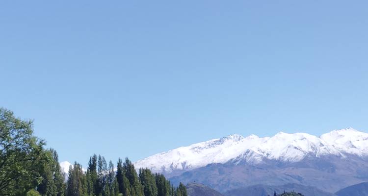 Montañas cubiertas de nieve con árboles en primer plano.