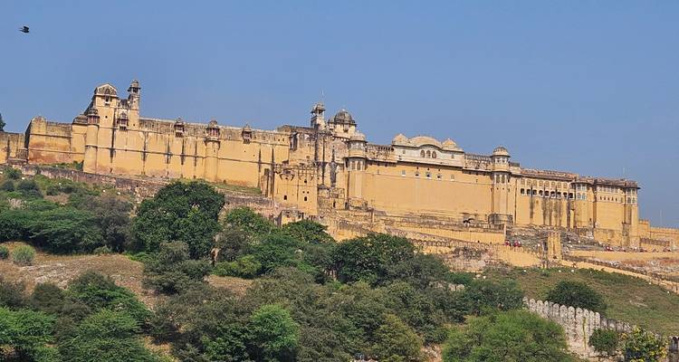Amber Fort on a hill with trees in the foreground.