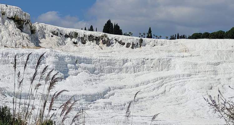 Natuurlijke witte travertijnen met wat begroeiing.