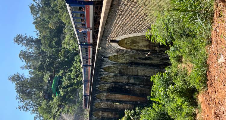 Ein Zug auf einer Brücke, der durch eine üppige Landschaft fährt.