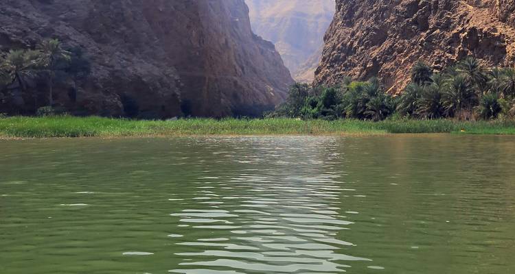 Een schilderachtig uitzicht op een wadi met water en palmbomen.