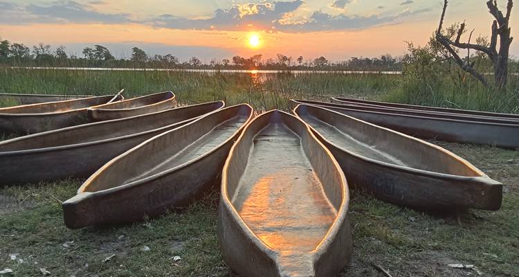 Sunset reflecting off canoes lined up by a river.