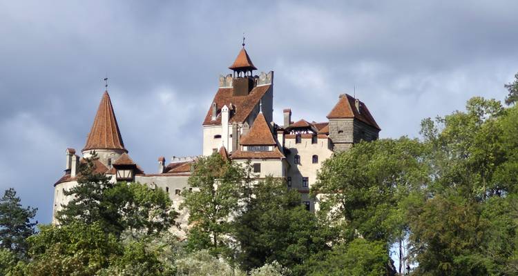 Middeleeuws Kasteel Bran omgeven door bomen.