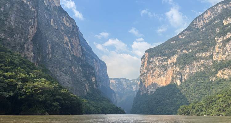 Eine malerische Flussschlucht mit Klippen und Grünzeug.