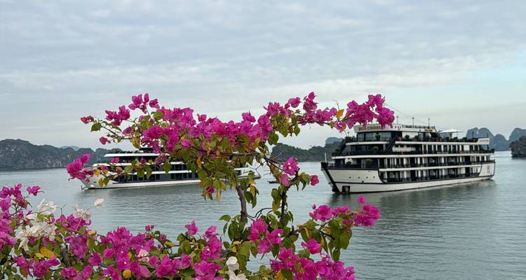 Cruiseboten op een baai met bloemen op de voorgrond.