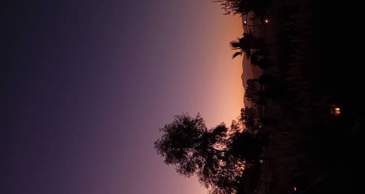 Sonnenuntergang-Silhouette von Bäumen und Bergen.