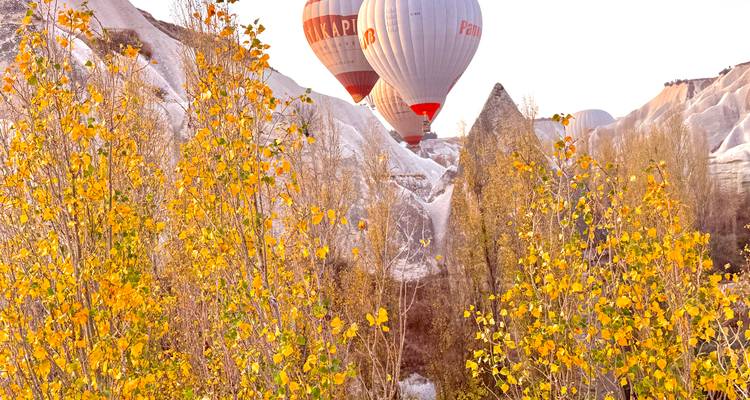 Globos aerostáticos coloridos sobre paisaje rocoso con árboles y arbustos.