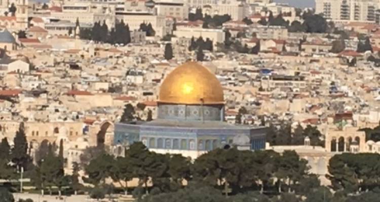 biblical israel tours reviews