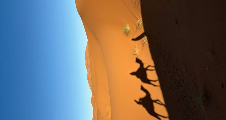 Ombres de chameaux et de cavaliers sur les dunes de sable.