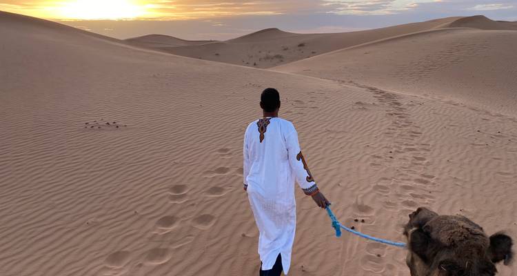 Person leading a camel through sand dunes at sunset.