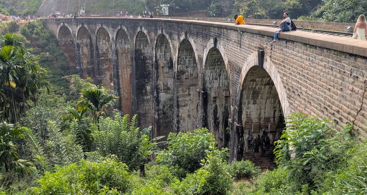 Vue panoramique d'un grand pont en arche avec de la verdure tout autour.
