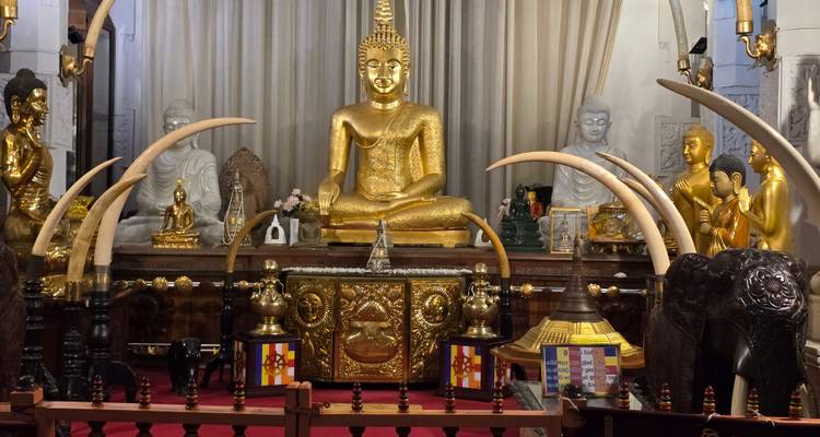 Gouden en ivoren Boeddhabeelden in een tempelomgeving.